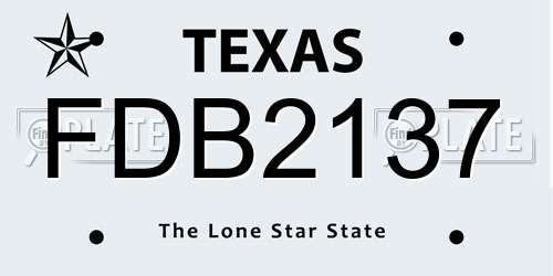 FDB2137 Texas License Plate