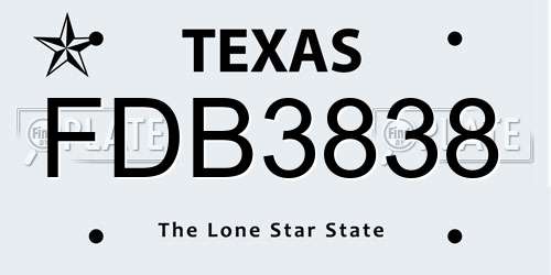 FDB3838 Texas License Plate