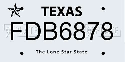 FDB6878 Texas License Plate