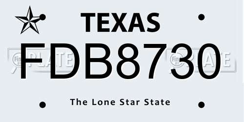 FDB8730 Texas License Plate