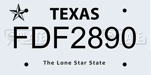 FDF2890 Texas License Plate
