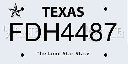 FDH4487 Texas License Plate