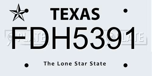 FDH5391 Texas License Plate