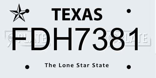 FDH7381 Texas License Plate