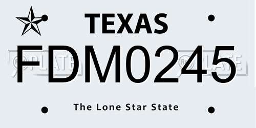 FDM0245 Texas License Plate