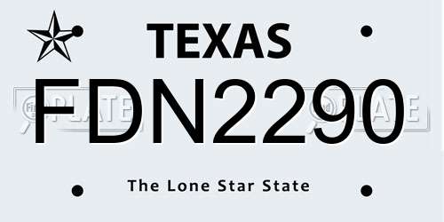 FDN2290 Texas License Plate