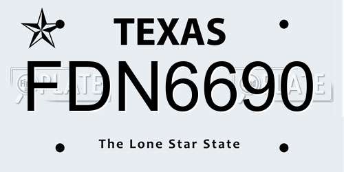 FDN6690 Texas License Plate