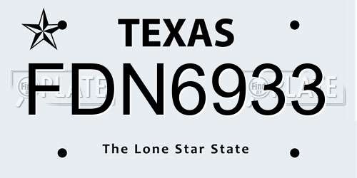 FDN6933 Texas License Plate