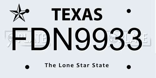 FDN9933 Texas License Plate