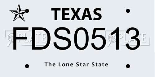 FDS0513 Texas License Plate