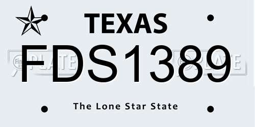 FDS1389 Texas License Plate