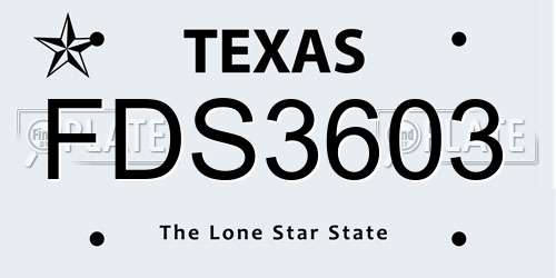 FDS3603 Texas License Plate