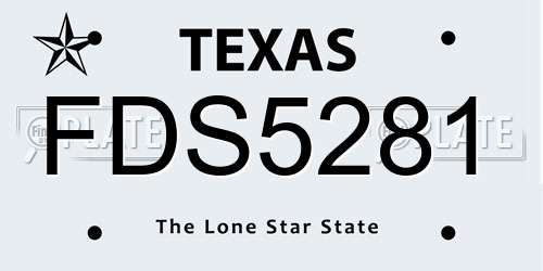 FDS5281 Texas License Plate