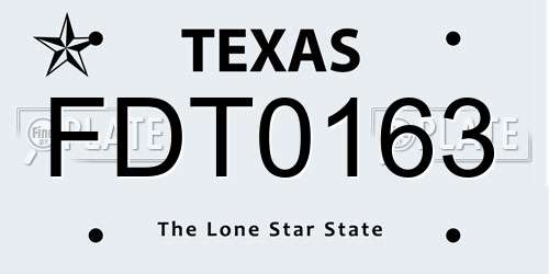 FDT0163 Texas License Plate