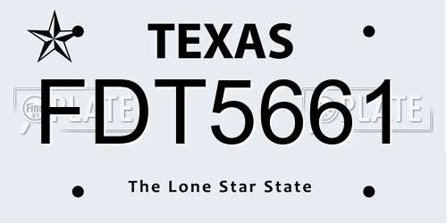 FDT5661 Texas License Plate