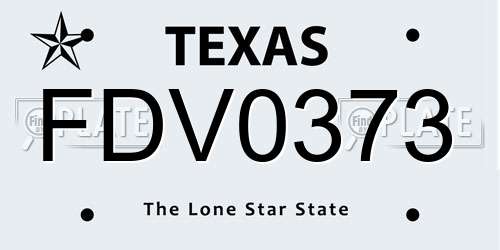 FDV0373 Texas License Plate