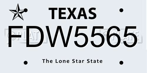 FDW5565 Texas License Plate
