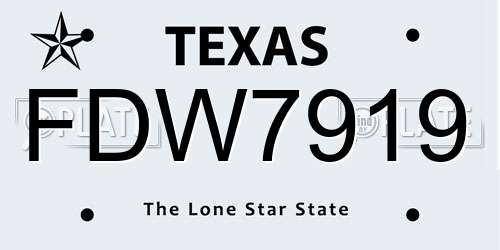 FDW7919 Texas License Plate