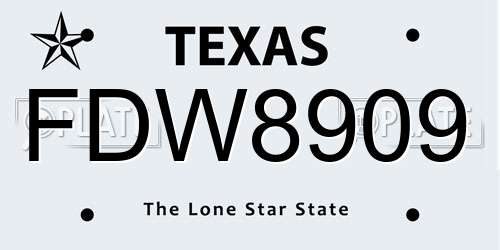 FDW8909 Texas License Plate