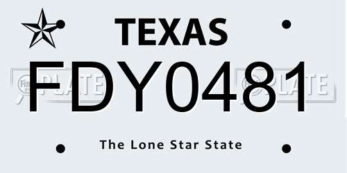 FDY0481 Texas License Plate