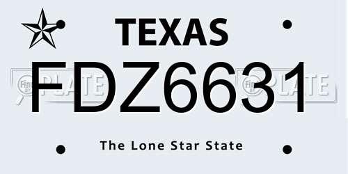 FDZ6631 Texas License Plate