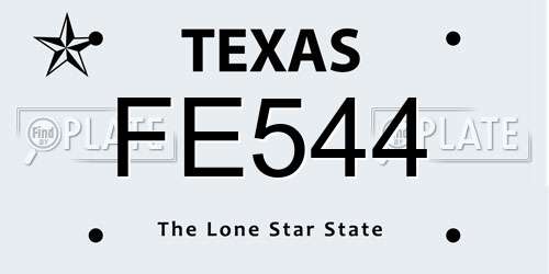 FE544 Texas License Plate