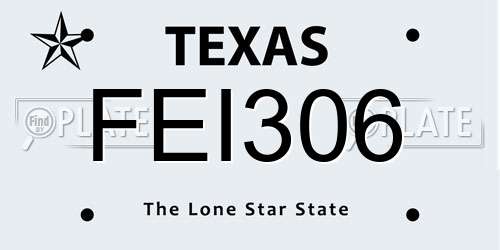 FEI306 Texas License Plate