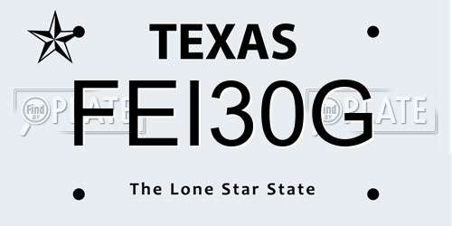 FEI30G Texas License Plate