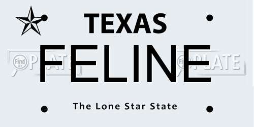 FELINE Texas License Plate