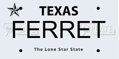 FERRET Texas License Plate