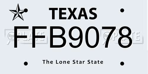 FFB9078 Texas License Plate