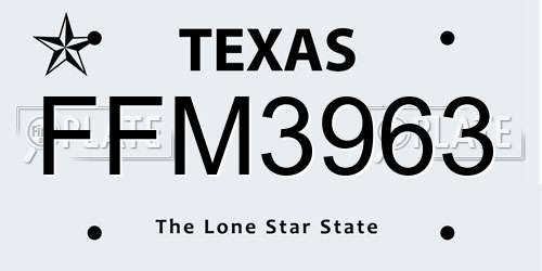 FFM3963 Texas License Plate