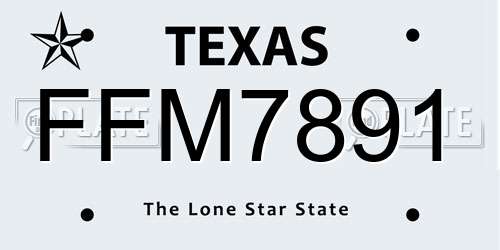 FFM7891 Texas License Plate