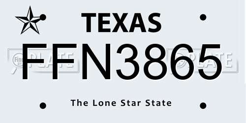 FFN3865 Texas License Plate