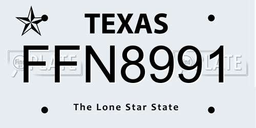 FFN8991 Texas License Plate