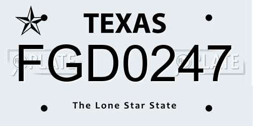 FGD0247 Texas License Plate