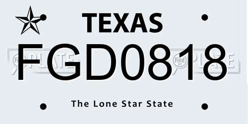FGD0818 Texas License Plate