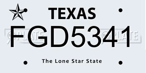 FGD5341 Texas License Plate