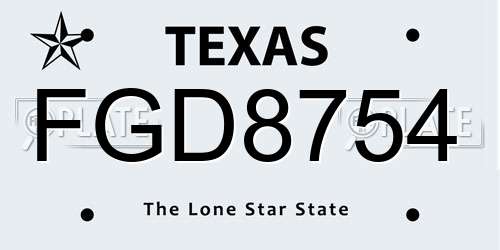 FGD8754 Texas License Plate