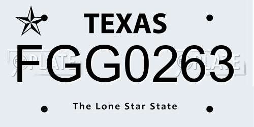 FGG0263 Texas License Plate