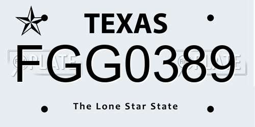 FGG0389 Texas License Plate