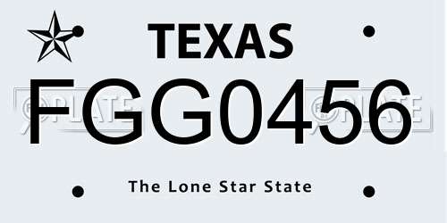 FGG0456 Texas License Plate