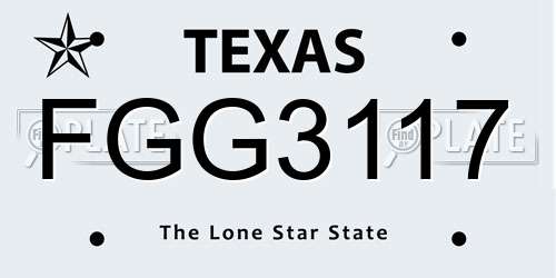 FGG3117 Texas License Plate