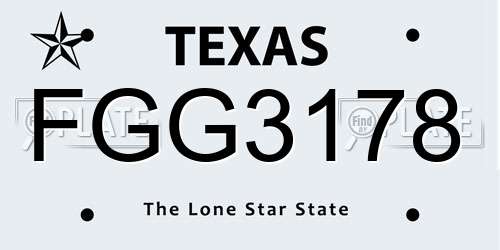 FGG3178 Texas License Plate