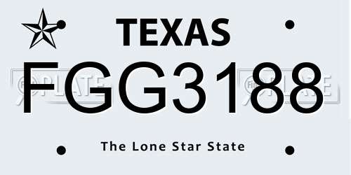 FGG3188 Texas License Plate