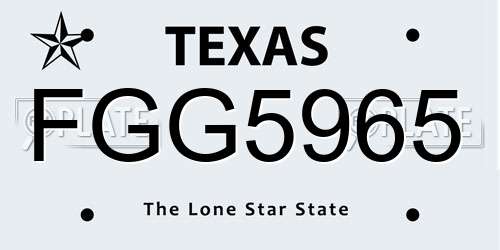 FGG5965 Texas License Plate