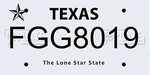 FGG8019 Texas License Plate