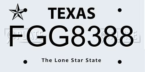 FGG8388 Texas License Plate