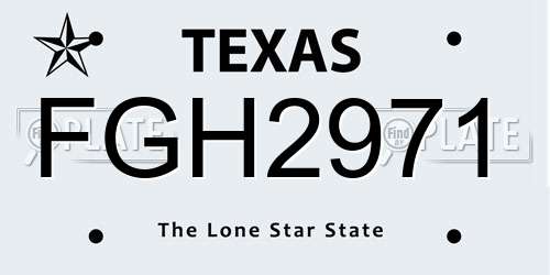 FGH2971 Texas License Plate