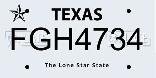 FGH4734 Texas License Plate